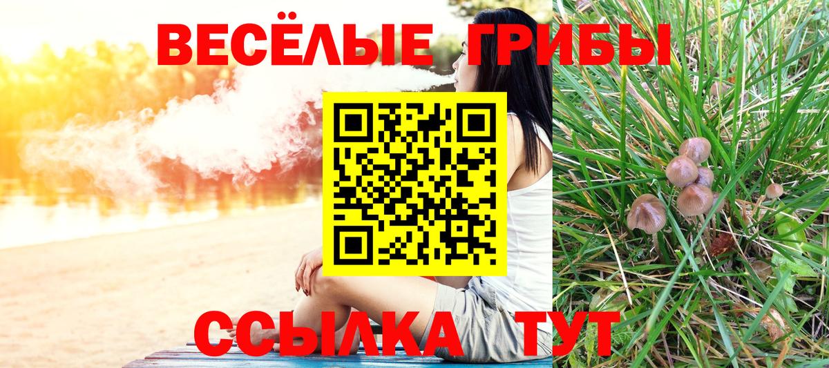 Псилоцибиновые грибы Cubensis  Вход с VPN  Киров  Псилоцибиновые грибы Cubensis 