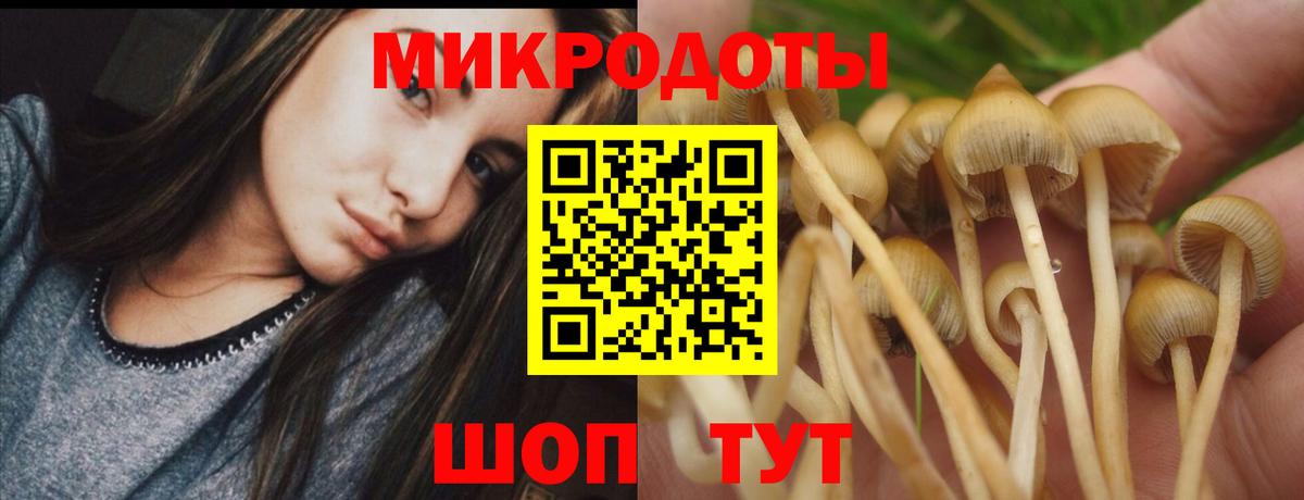 Галлюциногенные грибы мухоморы Киров